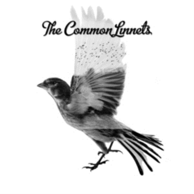 Levně The Common Linnets (The Common Linnets) (CD / Album)