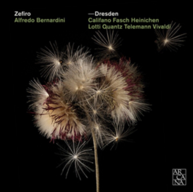 Zefiro: Dresden (CD / Album)