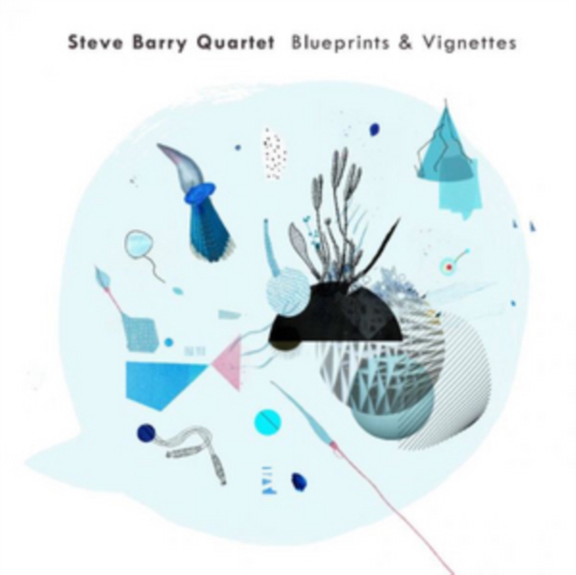 Levně Blueprints & Vignettes (Steve Barry) (CD)
