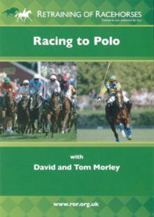 Racing to Polo
